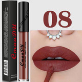 Lip Brand Matte Liquid Lipstick Nude Metallic Matte Lipstick Waterproof Lip Gloss Makeup Lipstick Liquid Matte Cosmetics