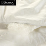 Lilysilk All Season Silk Comforter - 100% Pure & Free Shipping