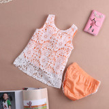 Summer Floral 2PCS Baby Girls Outfit Set - Lace Sleeveless Tops & Shorts for 0-18 Months