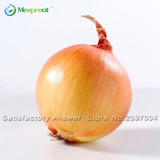 New Hot Delicious 100pcs Giant Onion Seeds Organic Vegetables