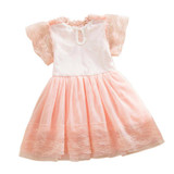 Summer Baby Embroidery lace Dress Toddler Girls Baby Kids Lace Tulle Dress Floral Princess Tutu Dress 2-7 Years