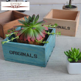 Staygold Zakka Cosmetics Jewelry Box Succulents Pots Grocery Solid Wood Storage Box Box Wood Craft Home Decoration