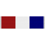D.O.T. 9-11 Medal Tiny Ribbon