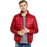 Ultralight Down Jacket Men Stand Collar 90 White Duck Down Jackets jaqueta masculino Men's 2017 New Autumn Winter Parka Coats