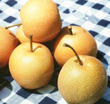 Bonsai Pear Seeds Mini Pear Tree Seeds Super Sweet Fruit Seeds Quality Potted Plants For Home Garden DIY 20 Pcs