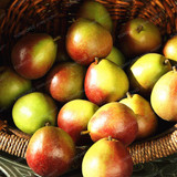 Bonsai Pear Seeds Mini Pear Tree Seeds Super Sweet Fruit Seeds Quality Potted Plants For Home Garden DIY 20 Pcs