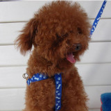prativerdi New Small Dog Pet Puppy Cat Adjustable Nylon Harness with Lead leash 5 Colors to Choose