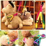 prativerdi  1 PCS Adjustable Rainbow color Pet Dog Leash Small Puppy Cat Rabbit Kitten Nylon Leash Harness Collar Lead