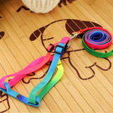 prativerdi  1 PCS Adjustable Rainbow color Pet Dog Leash Small Puppy Cat Rabbit Kitten Nylon Leash Harness Collar Lead
