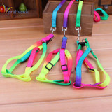 prativerdi  1 PCS Adjustable Rainbow color Pet Dog Leash Small Puppy Cat Rabbit Kitten Nylon Leash Harness Collar Lead