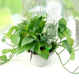 Practical 12Pcs/lot Garden Cone Watering Spike Plant Flower Waterers Bottle Irrigation System
