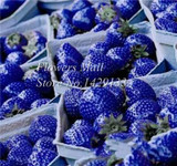 Potted Plants Delicious Multi-color Strawberry seeds 400PCS Black Blue White Strawberries Fruit Seeds Home &amp; Garden True Variety