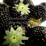 Potted Plants Delicious Multi-color Strawberry seeds 400PCS Black Blue White Strawberries Fruit Seeds Home &amp; Garden True Variety