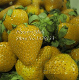 Potted Plants Delicious Multi-color Strawberry seeds 400PCS Black Blue White Strawberries Fruit Seeds Home &amp; Garden True Variety