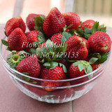 Potted Plants Delicious Multi-color Strawberry seeds 400PCS Black Blue White Strawberries Fruit Seeds Home &amp; Garden True Variety