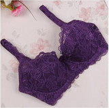 2017 New Hot Bra 32 34 36 38 40 B C Cup Brand Bra Sexy Womenlace Intimates Push Up Bra Ladies Lingerie Transparent Big Size Bra
