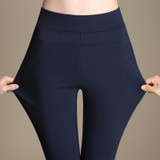 High waist women 2017 Spring slim Winter warm velvet office work pencil pants plus size ladies formal trousers pantalon femme