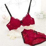 Lady Women Girls Lace Floral Satin Bra Underwear Underwire Push Up Bra Set Black Blue Red White Pink