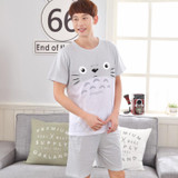 2017 - Men's Grey Totoro pattern short sleeves short pants suit Home wear