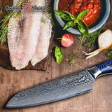 NEW Damascus Kitchen Knife 67 Layers Japanese Santoku Knife Japanese Damascus Stainless Steel VG-10 Chef Knife Cooking Tools