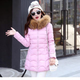 New Coats & Jackets 2017 Female Parka Hooded Winter Jacket Women Real Raccoon Fur Collar Winter Coat Women Zipper Women's Jacket