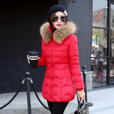 New Coats & Jackets 2017 Female Parka Hooded Winter Jacket Women Real Raccoon Fur Collar Winter Coat Women Zipper Women's Jacket