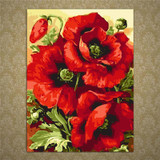Frameless Poppy Flower DIY Frameless Pictures Painting By Numbers DIY Digital Canvas Oil Painting Living RoomHome Office Decor