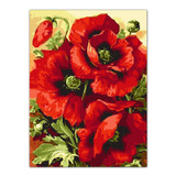 Frameless Poppy Flower DIY Frameless Pictures Painting By Numbers DIY Digital Canvas Oil Painting Living RoomHome Office Decor