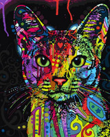 Frameless diy oil painting by number paint by number for home decor canvas painting 4050 Graffiti Kitty