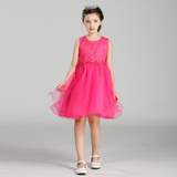 Retail Appliques beadin Lace Flower Girl Dress Sequined Pattern Girl Party Dress Embroidery Flower Girls Princess Dress LL313