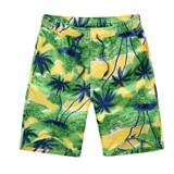 Men Beach Shorts Homme Masculino 2017 Summer Style Quick Dry Male Casual Multi Shorts Men 7 Types Beach Ball Shorts