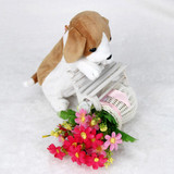 CONEED Fashion 2017 Cartoon Dog Makeup Bags Girls Pencil Box Cosmetic Bags Pencil Case Stationery Box Pencil School Bags Juy27