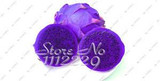 2015 New!!! 50pcs/ bag 9 kinds rare pitaya seeds, dragon fruit seeds very sweet fruit seeds , sementes potted plants for garden