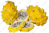 2015 New!!! 50pcs/ bag 9 kinds rare pitaya seeds, dragon fruit seeds very sweet fruit seeds , sementes potted plants for garden