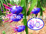 2015 New!!! 50pcs/ bag 9 kinds rare pitaya seeds, dragon fruit seeds very sweet fruit seeds , sementes potted plants for garden
