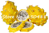2015 New!!! 50pcs/ bag 9 kinds rare pitaya seeds, dragon fruit seeds very sweet fruit seeds , sementes potted plants for garden
