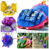 2015 New!!! 50pcs/ bag 9 kinds rare pitaya seeds, dragon fruit seeds very sweet fruit seeds , sementes potted plants for garden