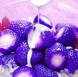 MXLUODX Blue Strawberry Seeds Organic Fruit Seeds Vegetables Non-GMO Bonsai Pot DIY Home Garden Plants 200pcs