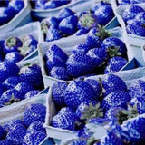 MXLUODX Blue Strawberry Seeds Organic Fruit Seeds Vegetables Non-GMO Bonsai Pot DIY Home Garden Plants 200pcs