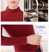2018 Women Sweater Women fashion Slim Solid Autumn and Winter Knitted Warm Turtleneck Pullover Women Sweater