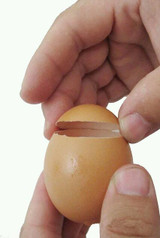 New Stainless Steel Egg Shell Opener Topper Cutter Kitchen Gadgets Cooking Tools New Stainless Steel Egg Shell Opener Topper Cutter Kitchen Gadgets Cooking Tools