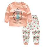 Autumn Baby Clothing Set Baby Boys Girls Clothes Long Sleeve T-shirt + Pants 2pcs Suit Cotton Baby boy Girl Newborn Clothing Set