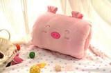 Cartoon Totoro warm winter hand warmer pillow warm hand plush toys Girls Valentine's Day gift