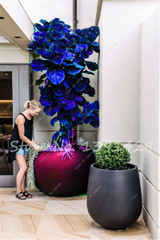 Living Room Bonsai Ficus Benjamina Seeds, Potted Plant Seed, Flower Seed, Perennial Leaf Plant Seeds 50 pcs