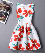 2017 New Spring Summer Autumn Vintage Dress Print Floral Slim Sleeveless Vest Dresses Big Size Women Party Vestidos De Festa