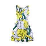 2017 New Spring Summer Autumn Vintage Dress Print Floral Slim Sleeveless Vest Dresses Big Size Women Party Vestidos De Festa