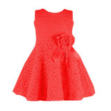 2017 Summer Toddler Baby Girl Kids Lace Floral Dress One Piece Party Vestido Girls Princess Dresses