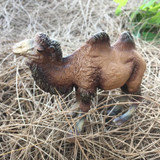 Lamwin Mini Size Lifelike Wild Animal Toy Plastic Desert Camel Action Figure Hollow Model Kids Gift