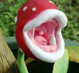 Free Shipping insect-catching plant enchantress Carnivorous plant desk Pot Bonsai seeds Slurperon seeds,100pcs/bag