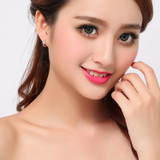Free Ship Fashion Wholesale Jewelry 925 Sterling Silver Earring Embed Butterfly Circel Earrings For Women Accessories